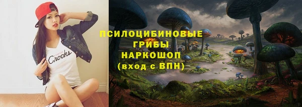 дурь Алексин