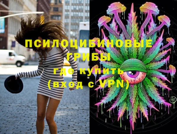 стафф Алзамай