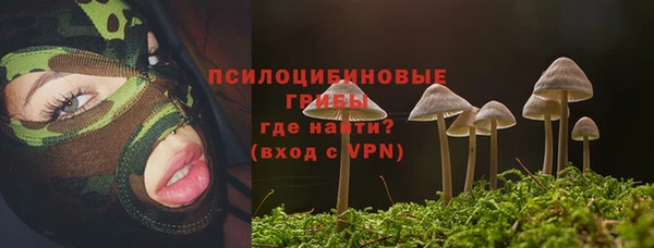 дурь Алексин