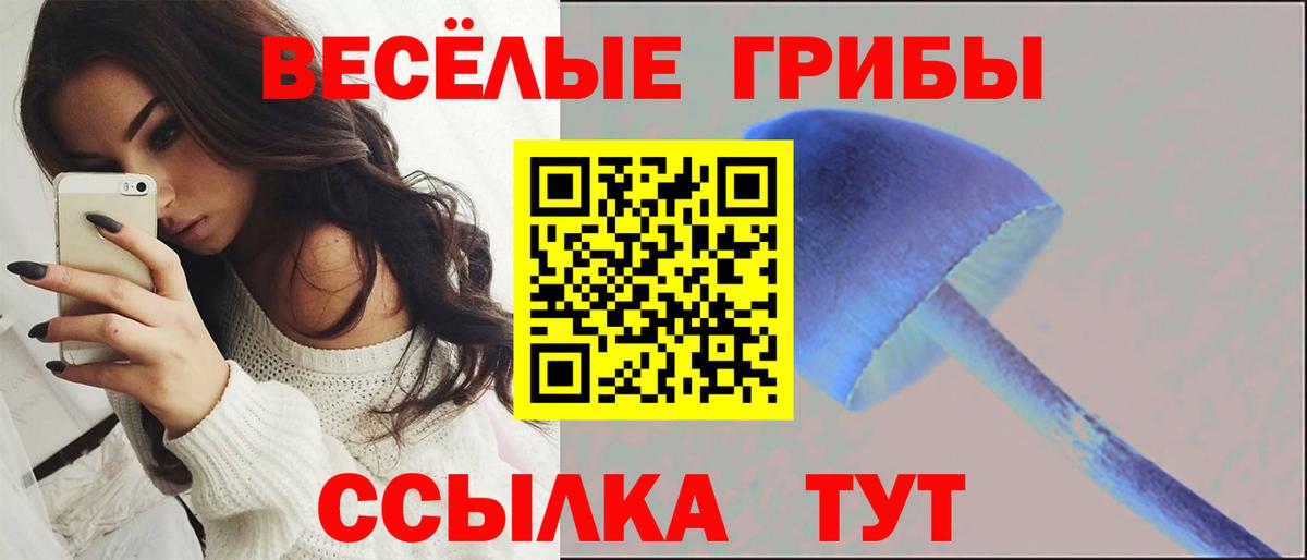 Белореченск  купить   Вход с VPN  Галлюциногенные грибы Cubensis 