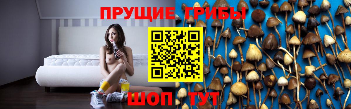 Псилоцибиновые грибы MAGIC MUSHROOMS Белореченск