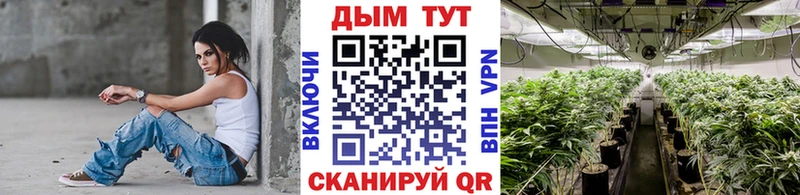 купить   Белореченск  Канабис индика 